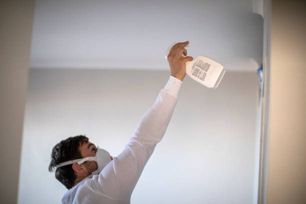 Best Mold Remediation for Schools in Helmetta, NJ
