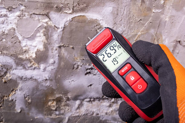Best White Mold Remediation in Helmetta, NJ