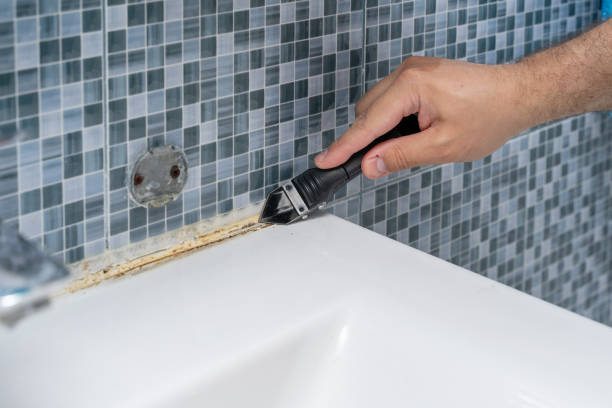 Trusted Helmetta, NJ Mold Remediation Experts